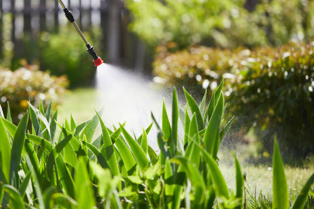 24/7 Emergency Mosquito Control experts in Clover Creek, WA