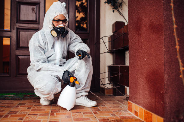 Reliable Mosquito Control contractor in Clover Creek, WA by Show Me Pest Control