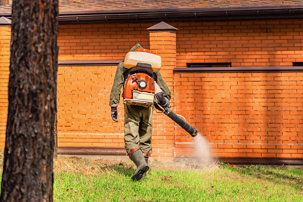 Top rated local Mosquito Control specialists in Clover Creek, WA